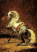Theodore   Gericault cheval gris pommele oil painting artist
